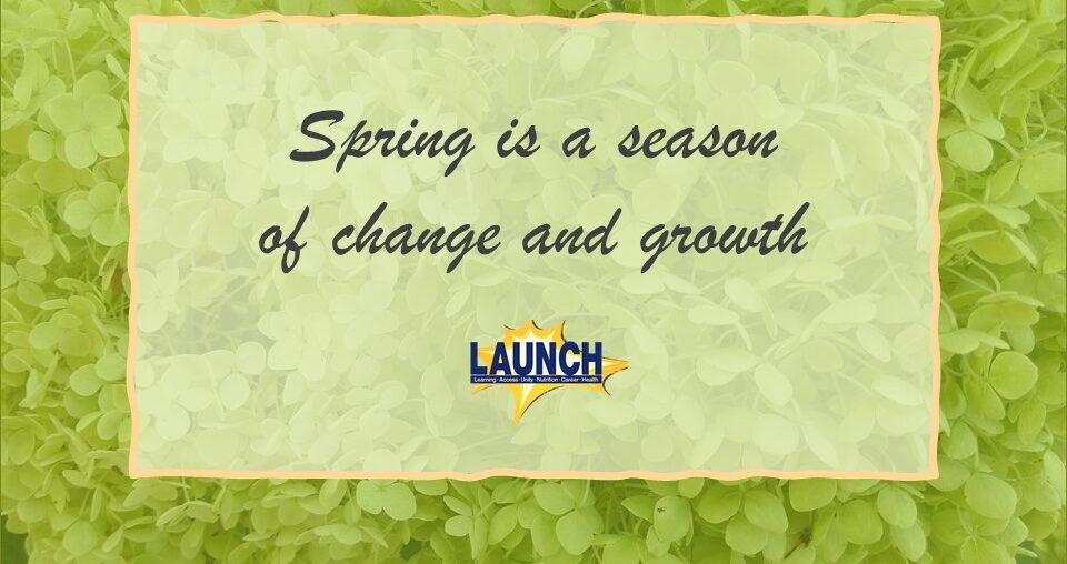 Spring is a Season of Change & Growth